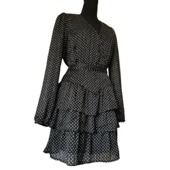 NWOT Francesca Mi Ami V-Neck Polka Dot Long Sleeve Dress Medium - Picture 2 of 11